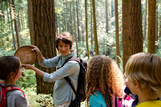 Teacher showing students tree ring in woods