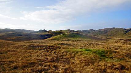 Naklejka premium Dünenlandschaft auf Norderney