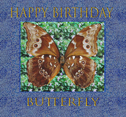 beautiful abstract  Butterfly  birthday card words greeting nature design