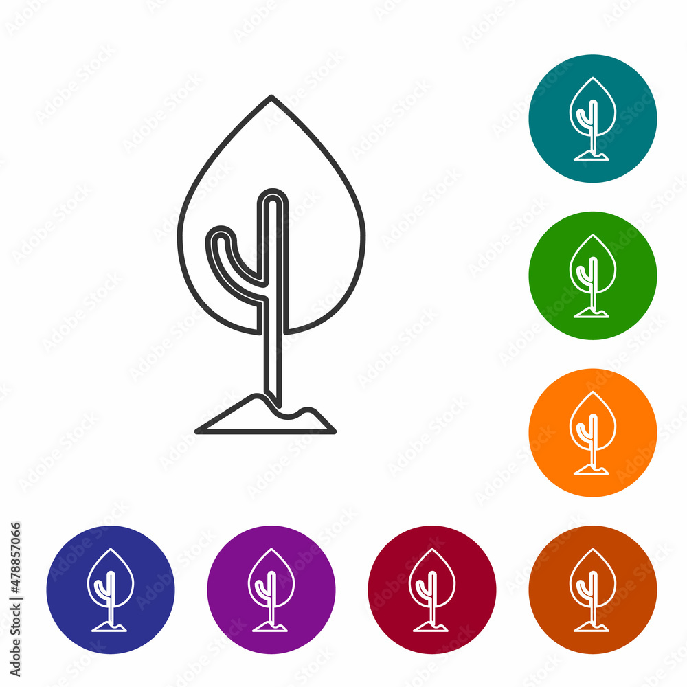Poster Black line Tree icon isolated on white background. Forest symbol. Set icons in color circle buttons. Vector