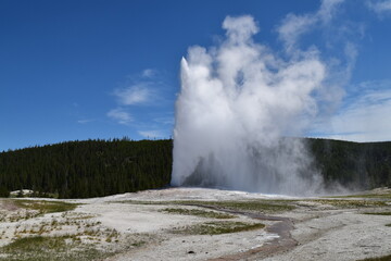 Old Faithful at Yellowstone National Park