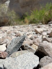 Upturned stone along trail