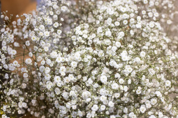 Bright beautiful bouquet of white flowers, fragment