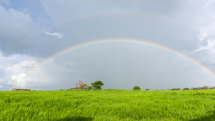 beautiful rainbow with cloudy sky in a rural field.