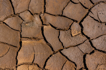 Dry craked earth closeup for natural abstract background. Global warming concept. High quality photo