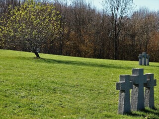 monuments in the form of three stone crosses at the burial sites of dead soldiers and a beautiful single tree in the structure of the desert landscape, a memorial park with Christian tombstones