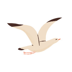 The seagull bird is in flight. Peace, freedom symbol. Hand-Drawn vector isolated animal illustration.