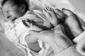 Close up on hands of unknown woman holding feet of her newborn baby son or daughter infant child in day - motherhood and maternity love concept copy space black and white photo