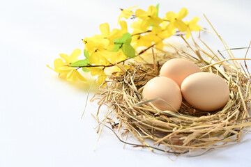 Easter decoration with natural eggs in a nest.