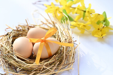 Easter decoration with natural eggs in a nest.