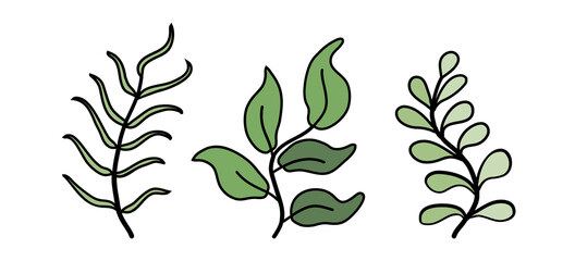 Set of different vector twigs with leaves. Simple plants with outline isolated. Symbol of eco, organic life and environment protection. Handdrawn logo branch collection for cosmetics and design 