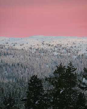 Pink sunrise with snow covered landscape