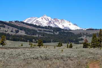 Summer in the mountains