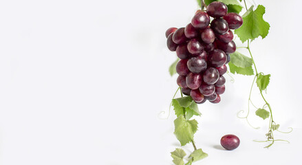Grape. A bunch of pink grapes with a grape leaf on a white background. Banner. Copy space