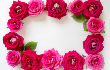 Beautiful rose flower in garden. Rose flower background. Roses flower texture. Lovely rose. Roses...