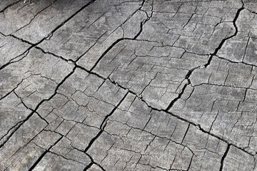 ough nature textures great for backgrounds	