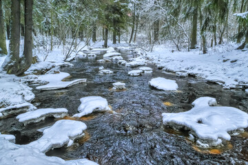 Fototapeta na wymiar River, trees, frozen grass in the snow. Cold winter season. Winter landscape