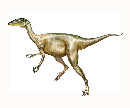 Troodon, Cretaceous Mesozoic dinosaur