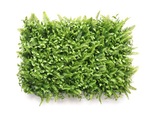 Green grass mat on white background