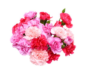 Stack Carnation flowers on white background
