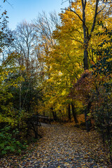 Cavendish Park in autumn, Brant Hills, Burlington, Ontario, Canada