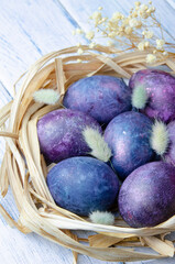 Easter eggs in trendy purple very peri color. Chicken eggs in a straw nest on a wooden table. Natural dye karkade tea. Zero waste concept. Copy space.	