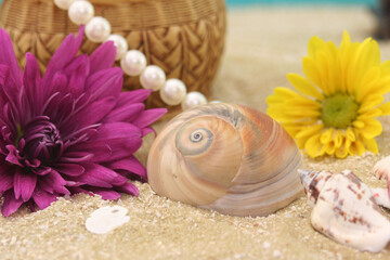 Flowers and Sea Shells on Sandy Beach, Shallow DOF