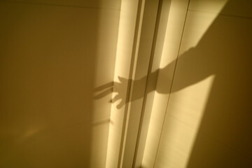Shadow of a hand on a wall