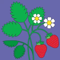 Rolgordijnen Simple vector drawing of a strawberry bush with flower and berry © Daria