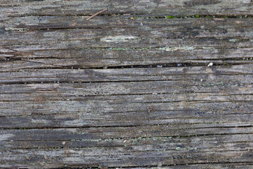 old wood table texture