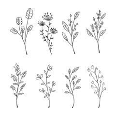 Collection of hand drawn floral doodles isolated on white background.