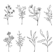 Collection of hand drawn floral doodles isolated on white background.
