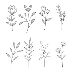 Collection of hand drawn floral doodles isolated on white background.