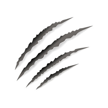 Animal claw paw marks, scratches, talons cuts cat, tiger, dog, lion, monster isolated on white background. Vector realistic illustration. Design for animal print, banner, poster