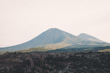 Finca el Amate Volcan de Pacaya