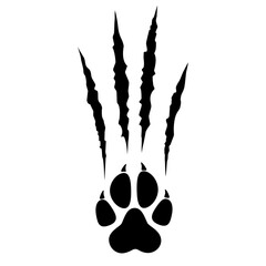 Animal paw print silhouette with claw marks, scratches, talons cuts cat, tiger, dog, lion, monster isolated on white background. Vector flat illustration. Design for animal print, banner, poster © Nataliia