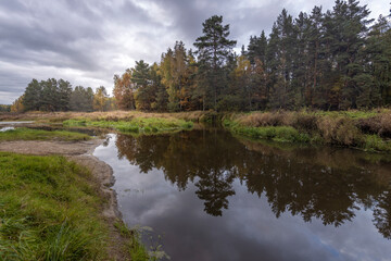 Obraz premium Autumn landscape with a small forest river. Cloudy weather in the forest Idyllic autumn landscape. Clean nature, ecology, seasons, environmental protection. Atmospheric and peaceful landscape