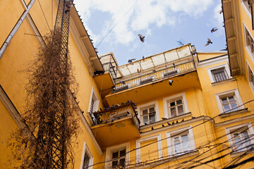 A flock of pigeons flying up in the sky in front of yellow facades of old yard buildings, blue cloudy sky and wires. A photo taken in Odessa, Ukraine