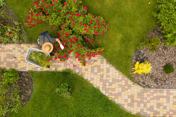 A professional gardener is carrying a wheelbarrow on a garden path