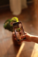 photo of a bouquet of cabbage on the phone
