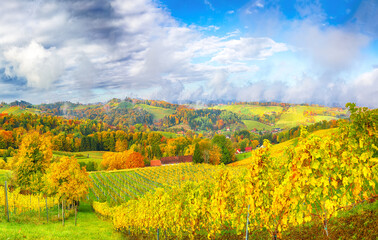 Spectacular vineyards landscape in South Styria near Gamlitz.