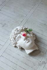 flower on plaster head