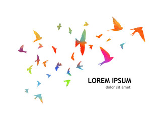 Multi-colored birds. A flock of flying rainbow birds. Vector illustration
