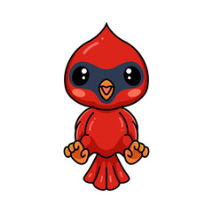Cute baby cardinal bird cartoon posing