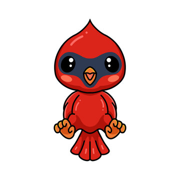 Cute baby cardinal bird cartoon posing
