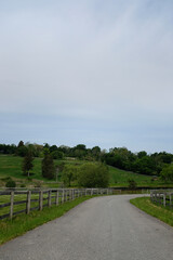 gorgeous rolling hills on horse farm