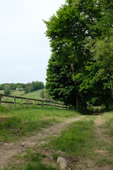 Fototapeta premium Serene rolling hills on horse farm during summer