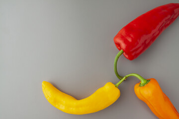 Three colourful oblong paprikas on the gray background. Bond together. Copy-space