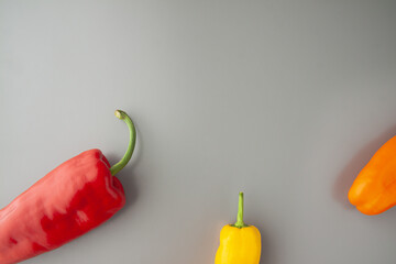 Three colourful oblong paprikas on the gray background. Artistic bottom shape. Copy space.