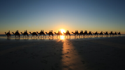 Camel Train tourist attraction at sunset on Cable Beach in Australia